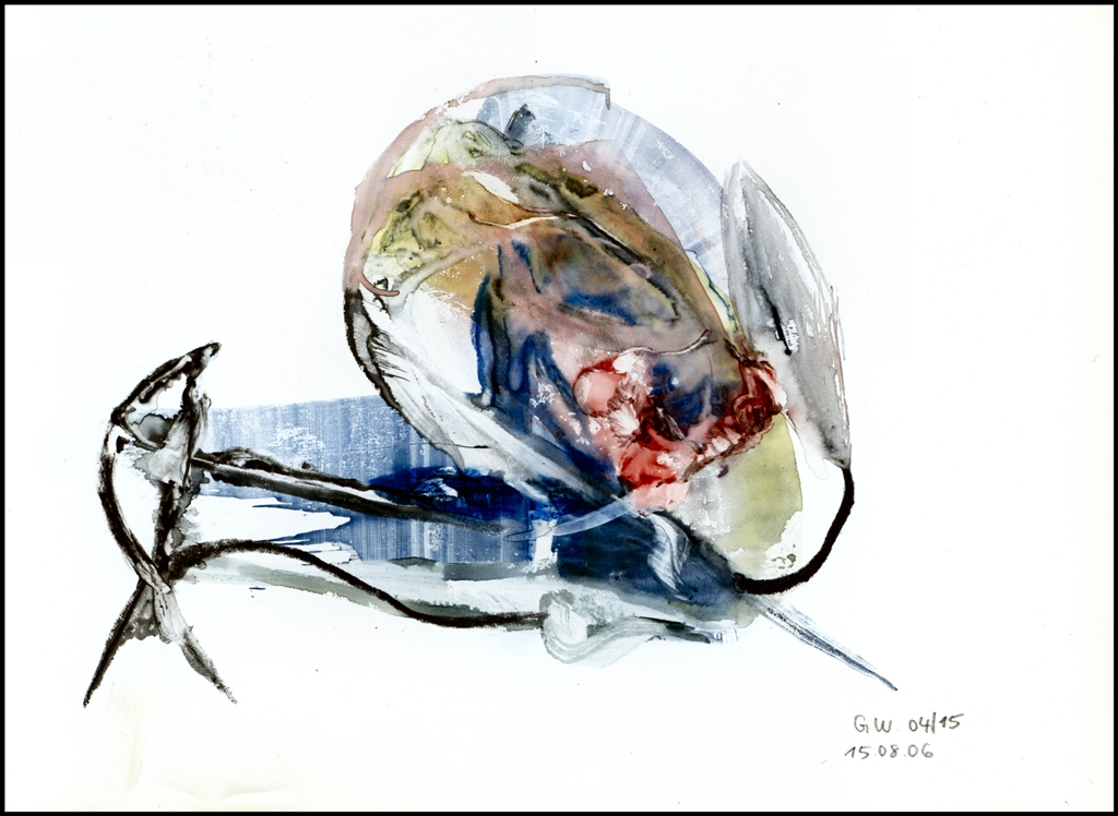 Symbiose zweier artfremder Wesen ...